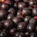 Açaí: O Ouro Roxo da Amazônia açai