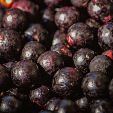 Açaí: O Ouro Roxo da Amazônia açai