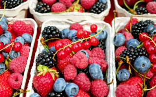 Nomes de frutas com a letra A