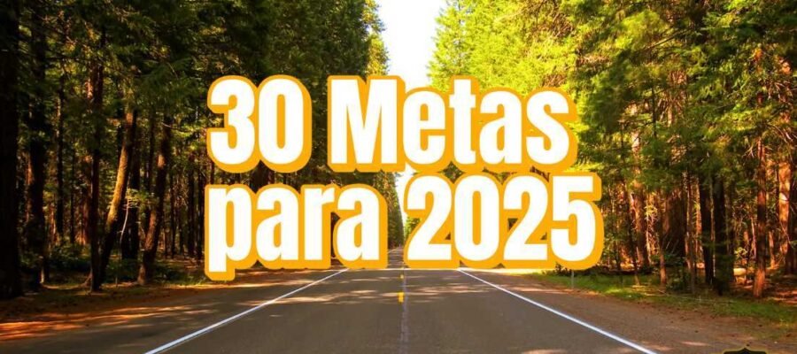 30 Metas 2025