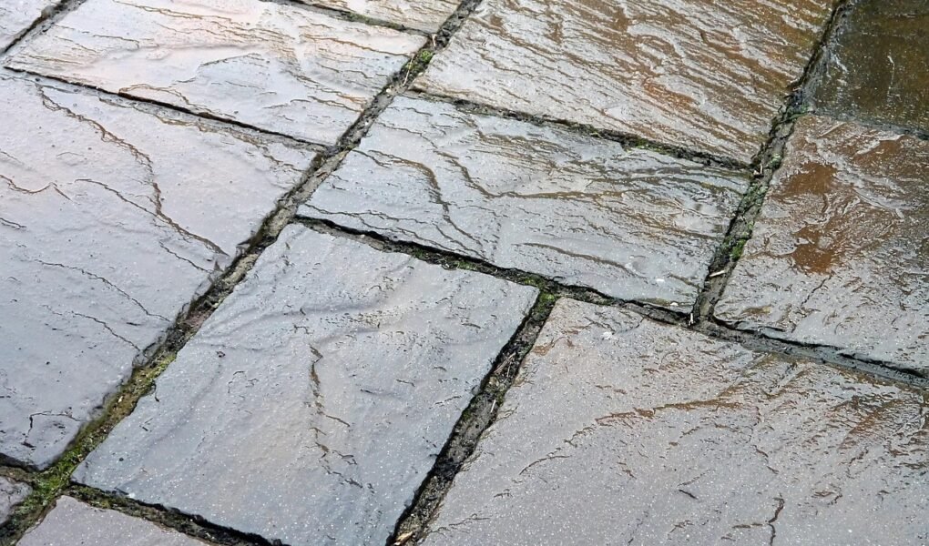 Adeus Mato Entre os Pisos! O Guia Completo para um Quintal Sempre Impecável Adeus mato entre pisos