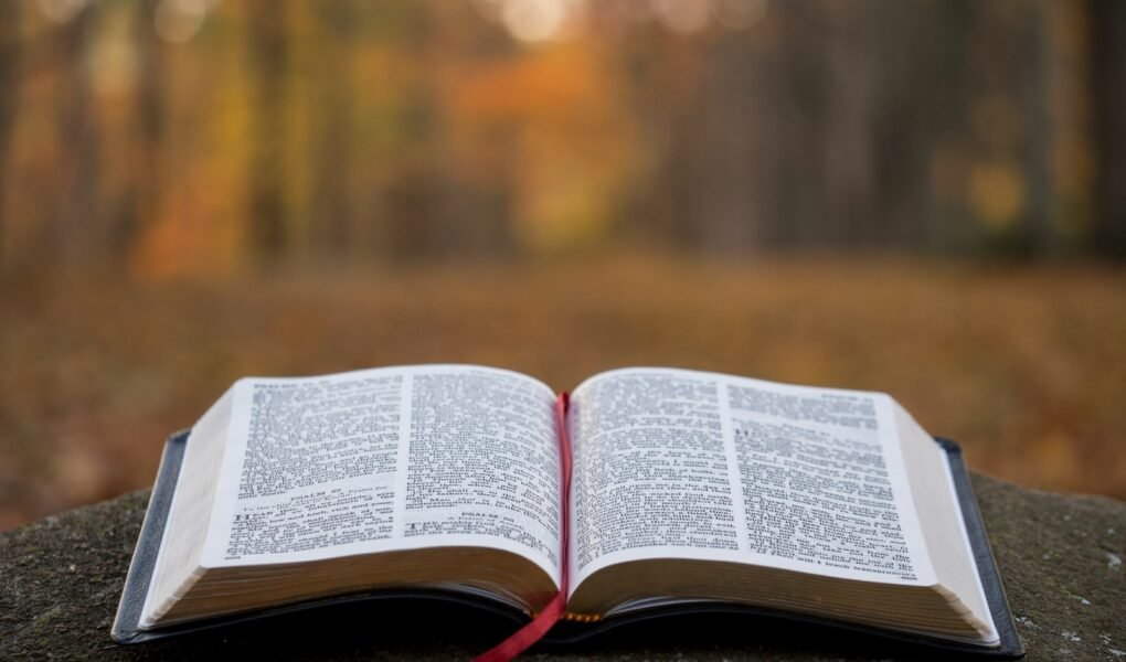 Devocional do Dia – Episódio 1 Devocioval do dia