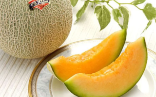 Melão o superalimento