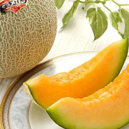 Melão o superalimento