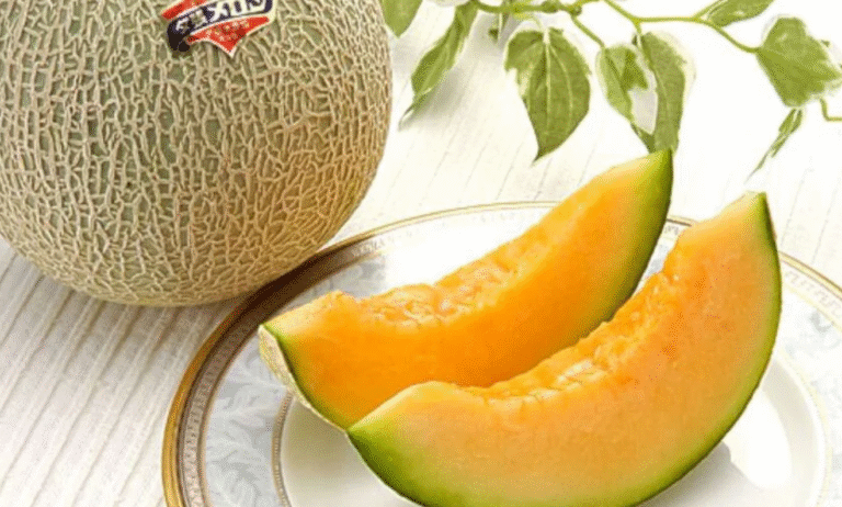 Melão o superalimento