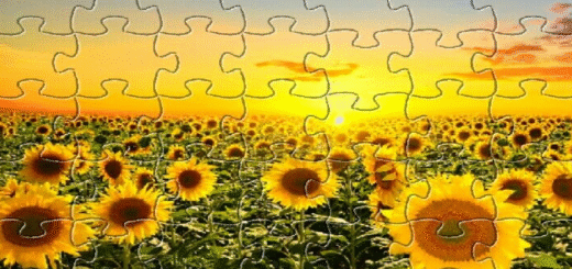 quebra-cabeça para imprimir