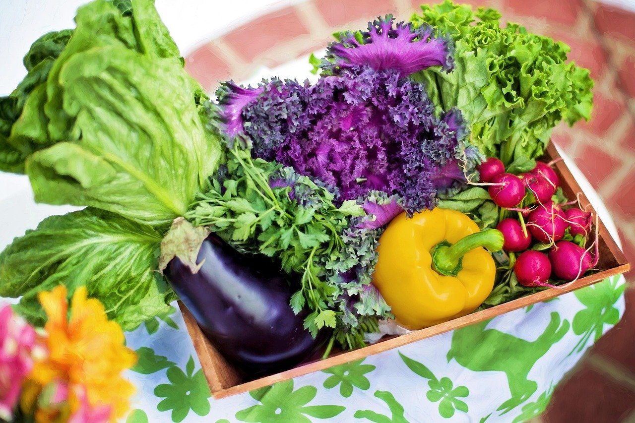 Como fazer a salada perfeita: guia completo para uma explosão de sabores frescos