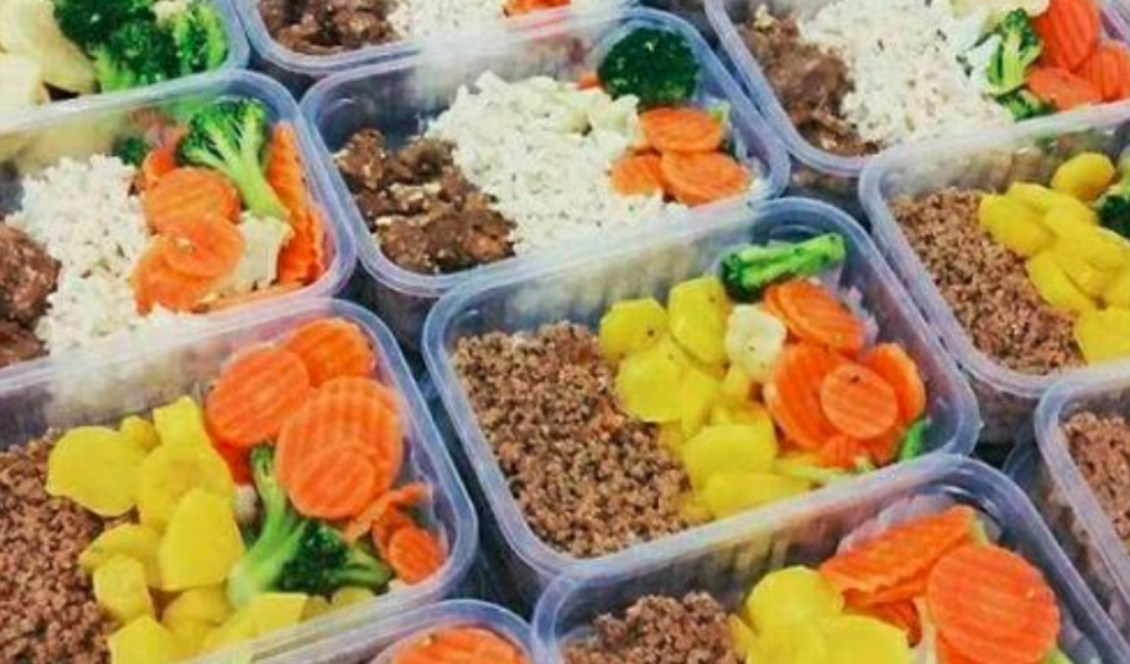Congelar comida dicas receitas