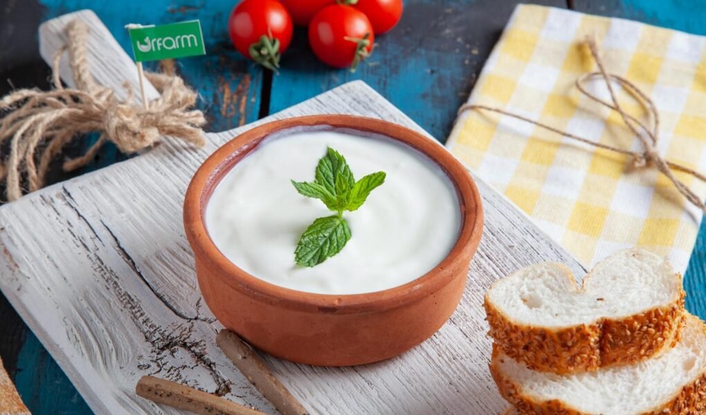 Authentic Turkish yogurt served in a clay bowl with mint, tomatoes, and sesame bread on rustic wooden board.