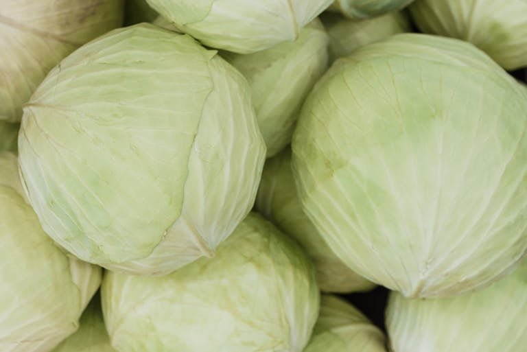 A close-up image of fresh green cabbage heads, showcasing their texture and color.