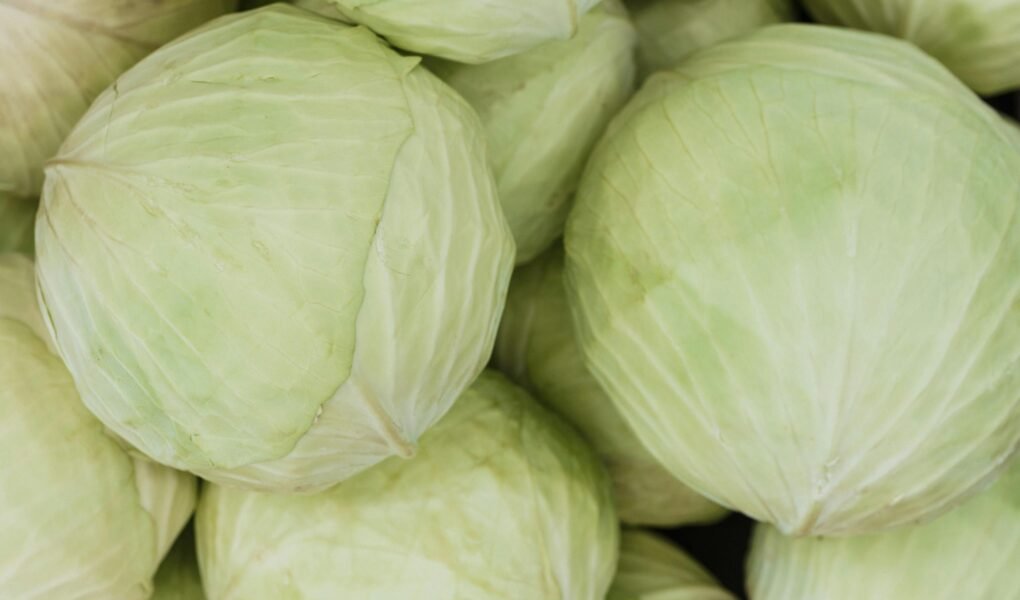 A close-up image of fresh green cabbage heads, showcasing their texture and color.