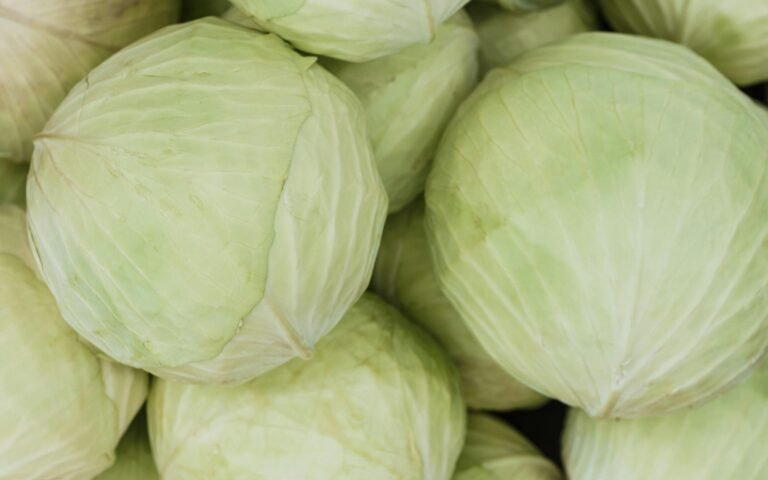 A close-up image of fresh green cabbage heads, showcasing their texture and color.