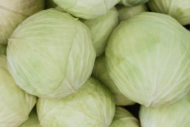 Bolo de Natal Clássico com Frutas Secas e Cobertura de Caramelo A close-up image of fresh green cabbage heads, showcasing their texture and color.