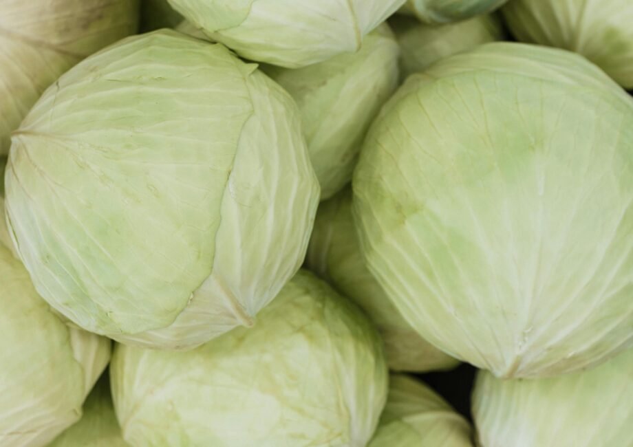 A close-up image of fresh green cabbage heads, showcasing their texture and color.