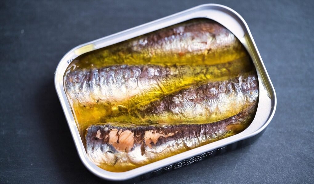 10 Receitas com Sardinha em Lata Fáceis, Econômicas e Deliciosas sardines, fish, food, oil, canned, dish, meal, cuisine, delicious, tasty, nature, closeup