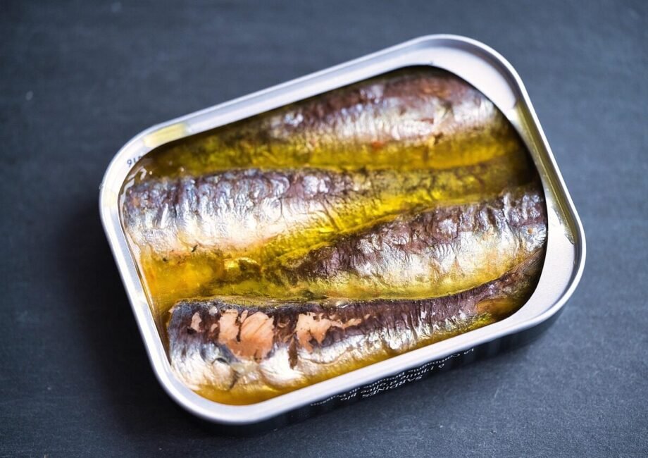 sardines, fish, food, oil, canned, dish, meal, cuisine, delicious, tasty, nature, closeup