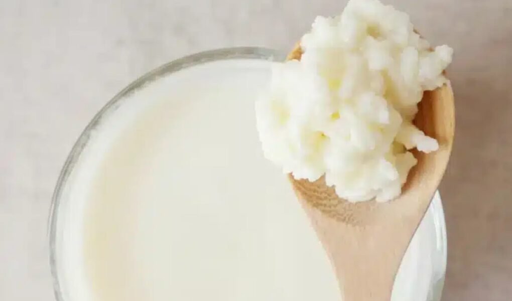 Kefir na Cozinha: Receitas Deliciosas para Fortalecer Sua Saúde e Imunidade destaque 1783449068495