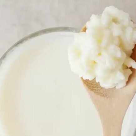 Kefir na Cozinha: Receitas Deliciosas para Fortalecer Sua Saúde e Imunidade destaque 1783449068495